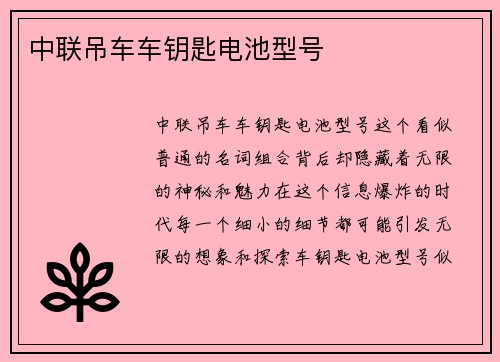 中联吊车车钥匙电池型号