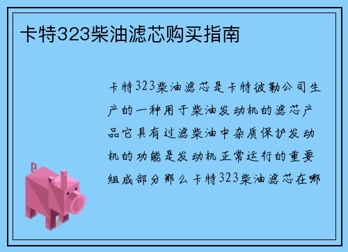 卡特323柴油滤芯购买指南