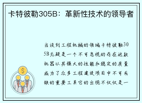 卡特彼勒305B：革新性技术的领导者