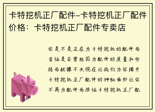 卡特挖机正厂配件-卡特挖机正厂配件价格：卡特挖机正厂配件专卖店